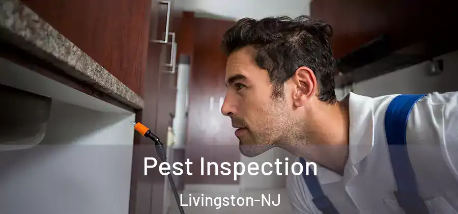  Pest Inspection Livingston-NJ
