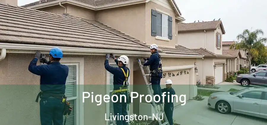  Pigeon Proofing Livingston-NJ