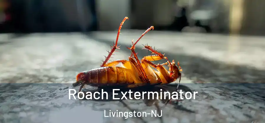 Roach Exterminator Livingston-NJ