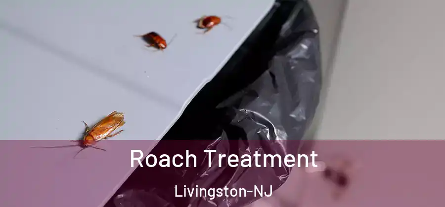  Roach Treatment Livingston-NJ