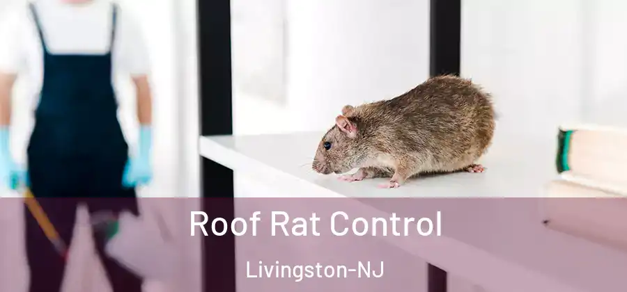 Roof Rat Control Livingston-NJ