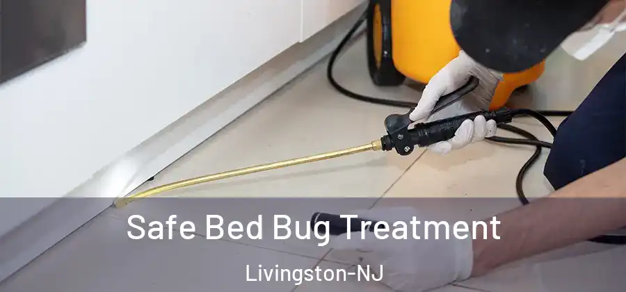 Safe Bed Bug Treatment Livingston-NJ