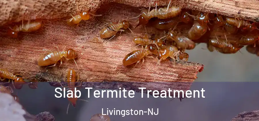  Slab Termite Treatment Livingston-NJ