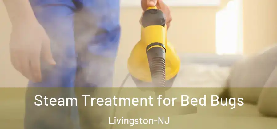  Steam Treatment for Bed Bugs Livingston-NJ