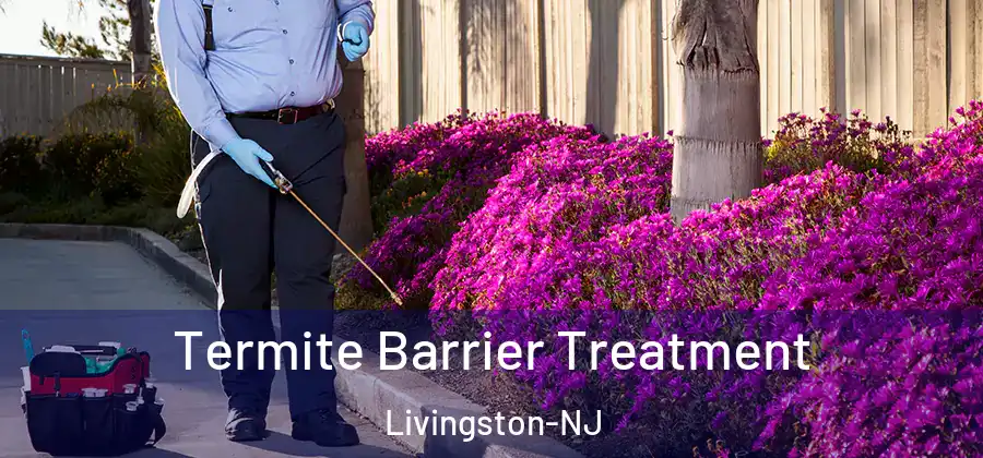 Termite Barrier Treatment Livingston-NJ