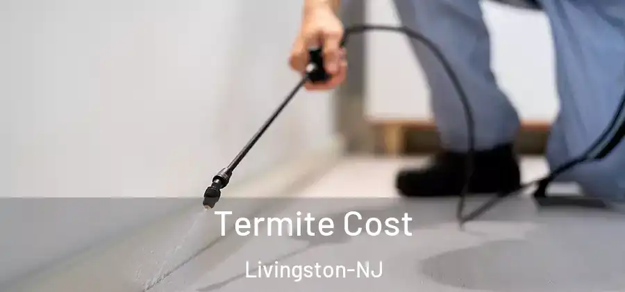 Termite Cost Livingston-NJ