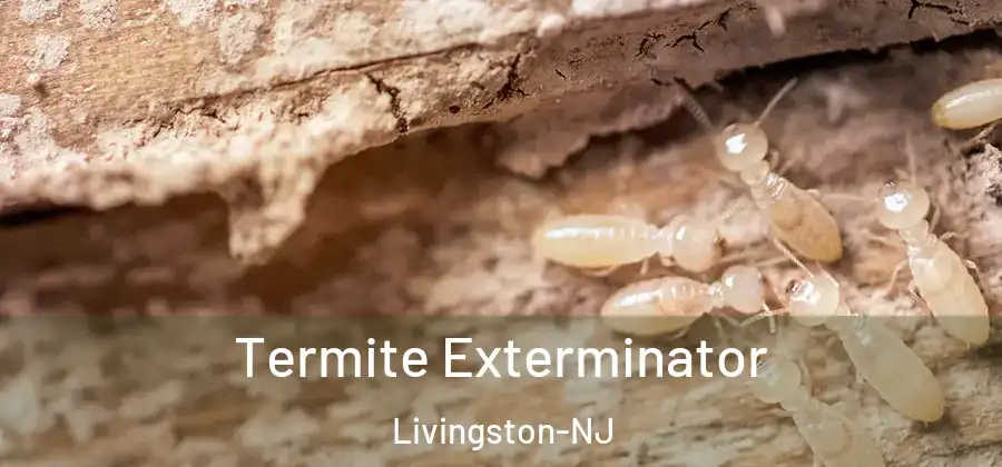 Termite Exterminator Livingston-NJ