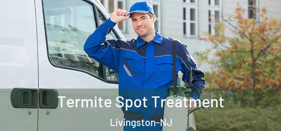 Termite Spot Treatment Livingston-NJ
