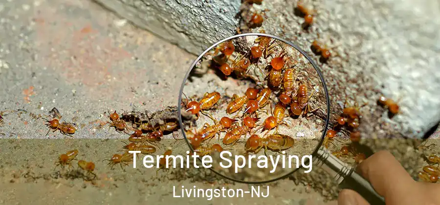 Termite Spraying Livingston-NJ
