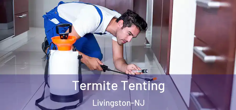  Termite Tenting Livingston-NJ