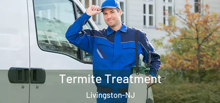  Termite Treatment Livingston-NJ