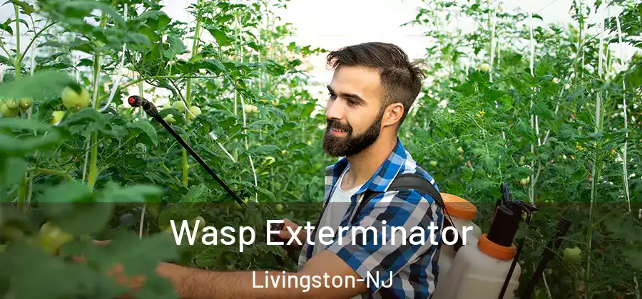  Wasp Exterminator Livingston-NJ